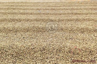 3 lý do nên mua hạt điều rang muối tại những nơi chuyên mua bán hạt điều 3 lý do nên mua hạt điều rang muối tại những nơi chuyên mua bán hạt điều