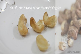 Cách phân biệt các loại hạt điều tốt - xấu Cách phân biệt các loại hạt điều tốt - xấu