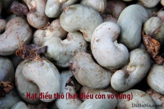 Các công đoạn làm ra thành phẩm hạt điều tươi làm sữa