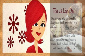 7 lợi ích sức khỏe của loại hạt Việt Nam 7 lợi ích sức khỏe của loại hạt Việt Nam
