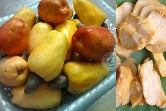Công dụng làm thuốc của quả điều - quả thật và quả giả Công dụng làm thuốc của quả điều - quả thật và quả giả