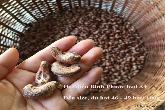 Thời đại bão giá - hạt điều giá bao nhiêu? Thời đại bão giá - hạt điều giá bao nhiêu?