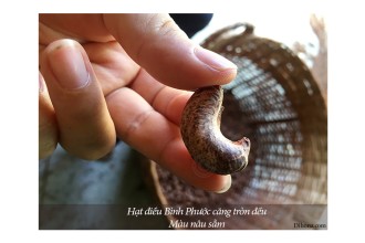 Hạt điều rang muối Bình Phước luôn được tìm mua, vì sao? Hạt điều rang muối Bình Phước luôn được tìm mua, vì sao?