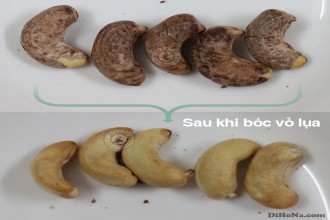 Giá hạt điều rang ở đâu tốt nhất? Giá hạt điều rang ở đâu tốt nhất?