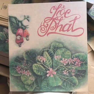 Hộp hạt điều rang muối Dihona