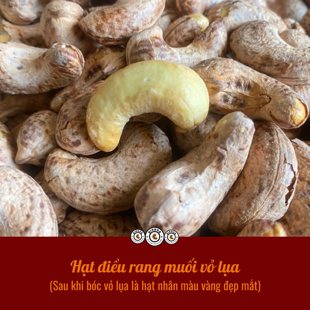 hat-dieu-rang-muoi-dihona hat-dieu-rang-muoi-dihona