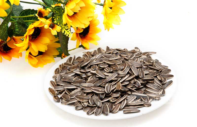 Các loại hạt ngày tết