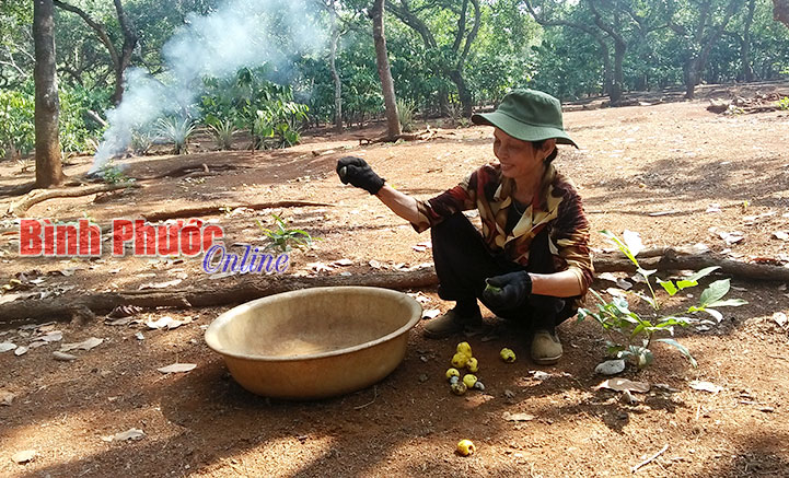 Điều Bình Phước Điều Bình Phước