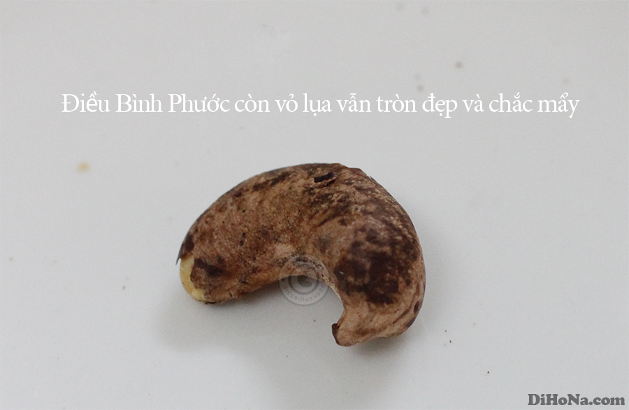 Hạt điều Bình Phước - khi nào được gọi tên đúng? Hạt điều Bình Phước - khi nào được gọi tên đúng?