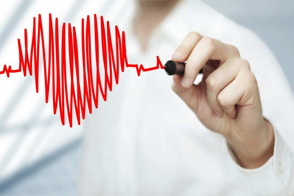 Hột điều có tác dụng gì?