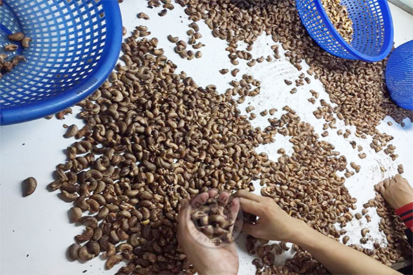 Hạt điều xuất khẩu Hạt điều xuất khẩu