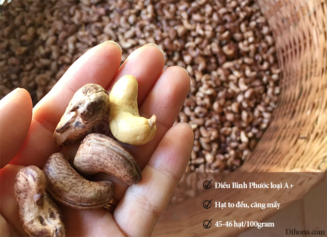 Hạt điều rang muối Bình Phước - đặc sản được đánh giá ngon nhất Hạt điều rang muối Bình Phước - đặc sản được đánh giá ngon nhất