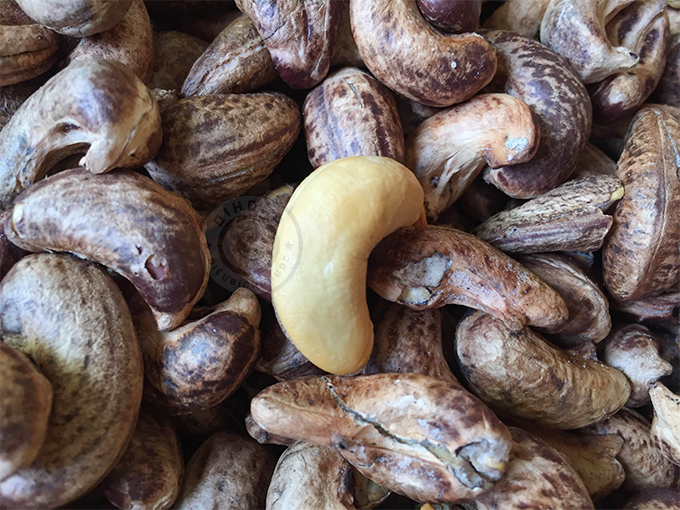 hạt điều rang muối giá sỉ hạt điều rang muối giá sỉ