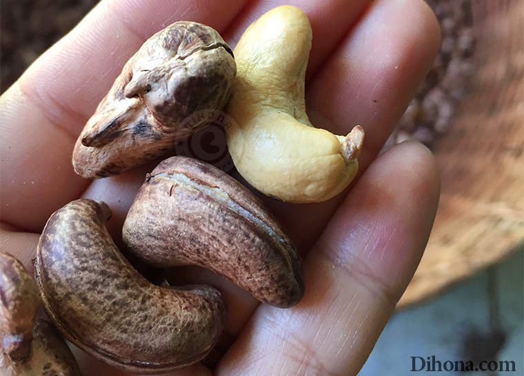 hạt điều rang muối loại 1 hạt điều rang muối loại 1