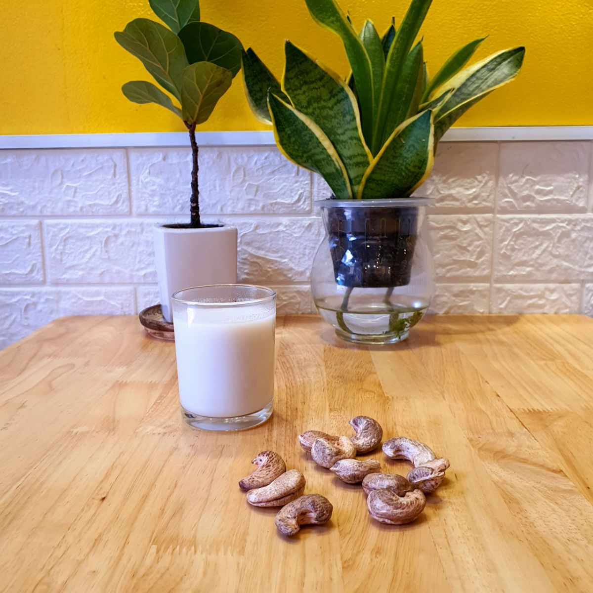 hạt điều rang muối dihona